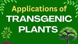 Applications of transgenic plants  Plant biotechnology  GM crops applications [upl. by Namrehs263]