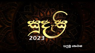 සුදැසි 2023  Concert of the Primary section  Newstead Girls College  Part 1 [upl. by Gram]