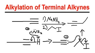 Alkylation of Terminal Alkynes  NaNH2Alkyl Halide  Organic Chemistry [upl. by Eugaet]