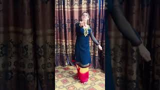 Sitara Noor Dance Performance 2024 [upl. by Aitas532]