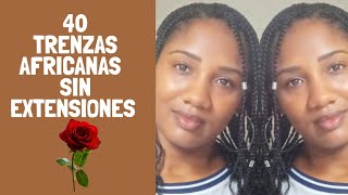 Cómo hacer trenzas africanas sueltas SIN extensiones 💞  CABELLO AFRO [upl. by Haletta593]