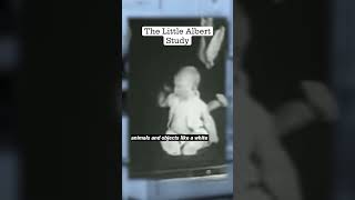 They did this to a baby The Little Albert Experiment experiment sad creepy disturbing [upl. by Conard]