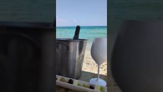 Enjoy a Greek wine by the sea beach greece summer beachbar [upl. by Fritts425]