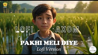 Pakhi Meli Diye  Lofi  Zubeen Garg  NK Production [upl. by Asoral]