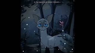 Для Horses127e2dwarrior cats editBluestar and Oakheart edit editwarriorcatsкотывоители [upl. by Udenihc]