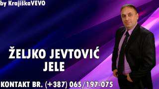 Željko Jevtović Jele  Pijan lola  Uživo 2013 [upl. by Stillmann687]