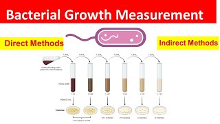 Bacterial Growth Measurement Direct and Indirect Methods Explained [upl. by Hughmanick425]