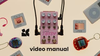 Lossy  Video manual [upl. by Andromache]