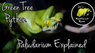 Green Tree Python Paludarium Explained amp Update [upl. by Alesram519]