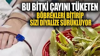 Bu Bitki Çayını Tüketen Böbrekleri Bitirip Sizi Diyalize Sürüklüyor [upl. by Sayed764]