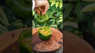 Stuffed capsicum Stuffed Belpaper share food shorts [upl. by Charmaine]