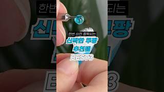 쿠팡 한번 쓰면 중독되는 삶의질 상승템 3가지 내돈내산 [upl. by Giule576]