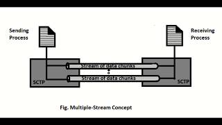 What is SCTP and Its Services  Hindi  Tech IT Education [upl. by Mochun]