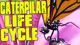 SURVIVE AS A CATERPILLAR TILL REACHING BUTTERFLY STAGE  Drunk On Nectar Gameplay [upl. by Jonell]