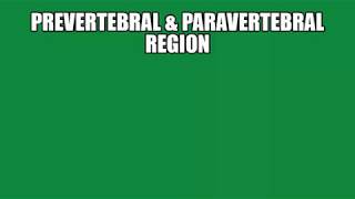 Prevertebral amp Paravertebral Region By Dr Rajneet Kaur [upl. by Viguerie]