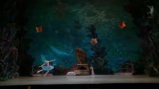 Sea star fresco from the quotLittle humpbacked horsequot ballet Underwater kingdom Valeria Bespalova [upl. by Hendon]