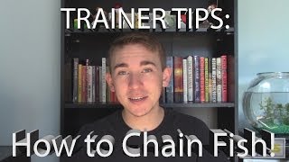 Trainer Tips Chain fishing in Pokemon X and Y [upl. by Esidnac964]