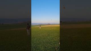 Eurosport RC Jet CARF im Herbst Vector Turbine [upl. by Sigrid]