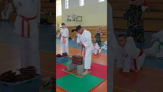 Tameshiwari  Puchar Polski karate sport sztukiwalki karatetradicional martialarts [upl. by Lynna826]