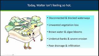 Floodplain and Watershed Higher Standards [upl. by Sussi]