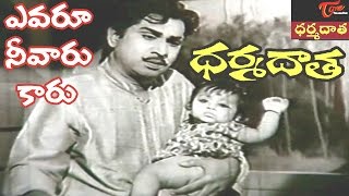 Dharma Daata Songs  Yevaroo Neevaru Kaaru Video Song  ANR Kanchana  DharmaDaata [upl. by Eatton140]