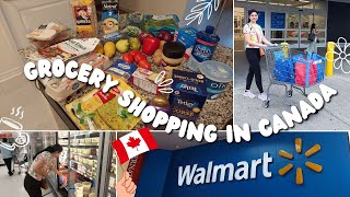 Cost of Groceries in Canada  Mississauga Walmart Grocery Haul sanyagulatisaxena [upl. by Rehpretsirhc]