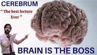 Control and Coordination  Cerebrum  Telencephalon  Olfactory lobes  Rhinencephalon  Made Easy [upl. by Fesuy561]