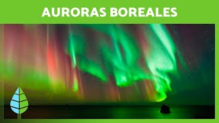 AURORAS BOREALES ¿Qué son y Cómo se forman 🌌 [upl. by Jeffie]