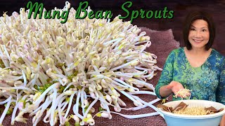 How to Sprout Mung Beans  Done Right and Perfect Every Time 發綠豆芽 [upl. by Anoirtac]