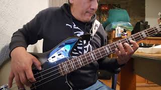 Bass Cover CEREBROS DESTRUIDOS  Eskorbuto [upl. by Ylatan]