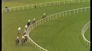 1987 Youngmans Long Walk Hurdle [upl. by Spaulding]