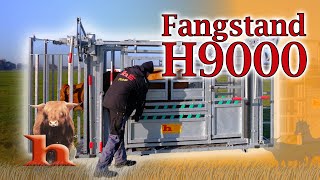 Fang und Behandlungsstand H9000 Profi  Highland Stall amp Weide [upl. by Nabatse]