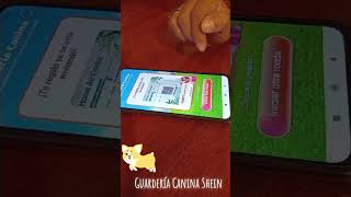 TUTORIAL GUARDERIA CANINA SHEIN  REGALITOS GRATIS😍🎁🎁🎁 [upl. by Melan]