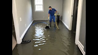 Carpet Flood Clean Up A Comprehensive Guide [upl. by Silecara]