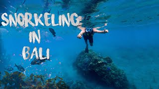 UNDERWATER SNORKELING IN BALI 850 RUPEES ONLY⚫BALI DAY 4 BUDGET VLOG ⚫THUGESH [upl. by Massiw]