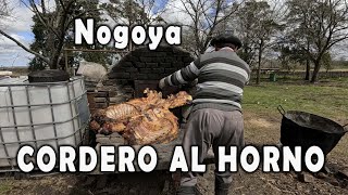 Nunca había comido cordero de esta manera [upl. by Enrahs648]