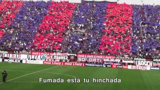 coro San Lorenzo l Fumada esta tu hinchada letra lyrics testo [upl. by Ardnuahc13]