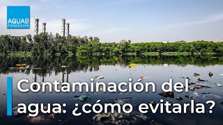 💧🌊¿Cómo REDUCIR la contaminación del AGUA💧🌊 [upl. by Burwell]