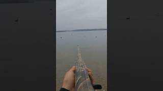 Hunting Bufflehead Ducks [upl. by Ellah319]