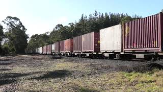 TasRail train 131 TR17TR162008 Youngmans Road 04082024 [upl. by Hally]