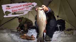 Рыбалка Язь который взорвет Ваш мозг Якутия Yakutia [upl. by Elmajian]