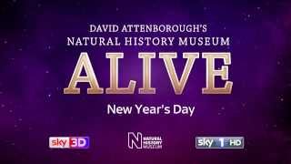 Natural History Museum Alive with David Attenborough Official trailer [upl. by Etteyafal178]