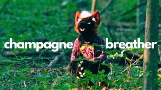 Dima Foxpaws  CHAMPAGNE BREATHER Official Video [upl. by Bechler829]