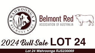 Lot 24 Wahroonga RJS230069 [upl. by Euhsoj]