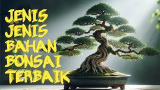 Mengenal Jenis Bahan BONSAI Terbaik dan Terpopuler Sepanjang Masa [upl. by Drud]