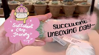 Vlog 100  13024 Succulent Unboxing Day [upl. by Mraz]