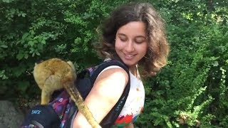 Blackcapped Squirrel Monkey is biting my finger squirrelmonkey [upl. by Reagan]