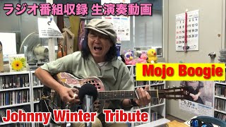 Mojo Boogie Johnny Winter Tribute [upl. by Akialam]