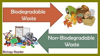 Biodegradable Vs NonBiodegradable Waste  Differences and Comparison [upl. by Gahan66]