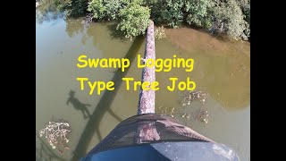 Swamp Logging Residential Tree Removal [upl. by Kimber]